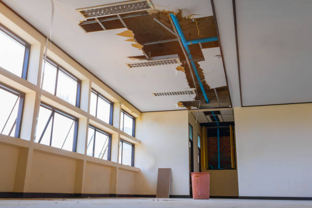 Best Fire Damage Restoration  in Hahnville, LA