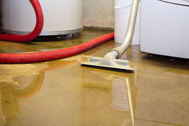 Best Water damage restoration near me  in Hahnville, LA
