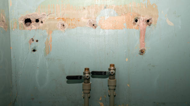 Best Flooded house restoration  in Hahnville, LA
