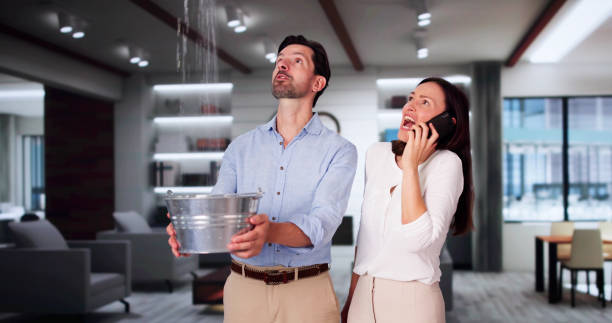 Best Ceiling water damage repair  in Hahnville, LA